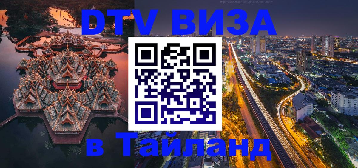 Оформление DTV визы под ключ: стоимость и тарифы, только загранпаспорт - 